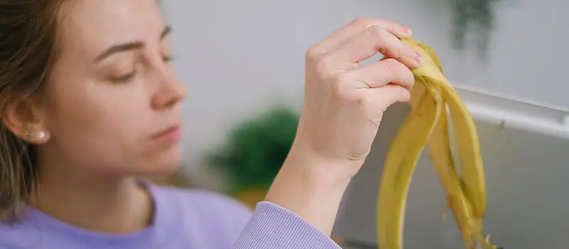 Pojemnik na bioodpady 240l: wybór, parametry i praktyczne wskazówki