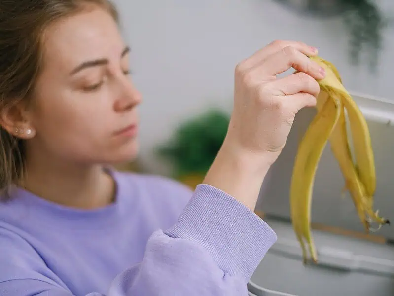 Pojemnik na bioodpady 240l: wybór, parametry i praktyczne wskazówki